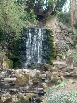 Bushy Park Waterfall.jpg