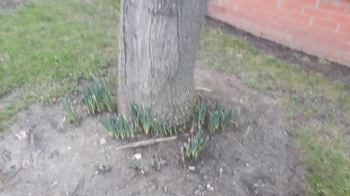 20210203_162032.jpg