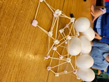 20250410_140608.jpg